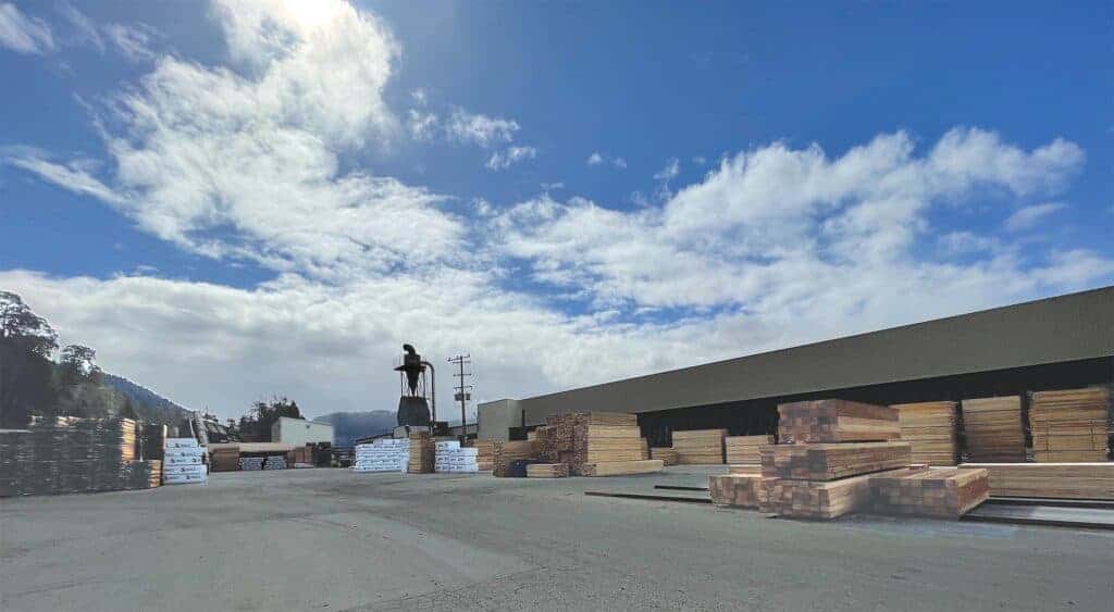 San Port Alberni B Mill: Bin sorter building (background) and B Mill storage yard (foreground).