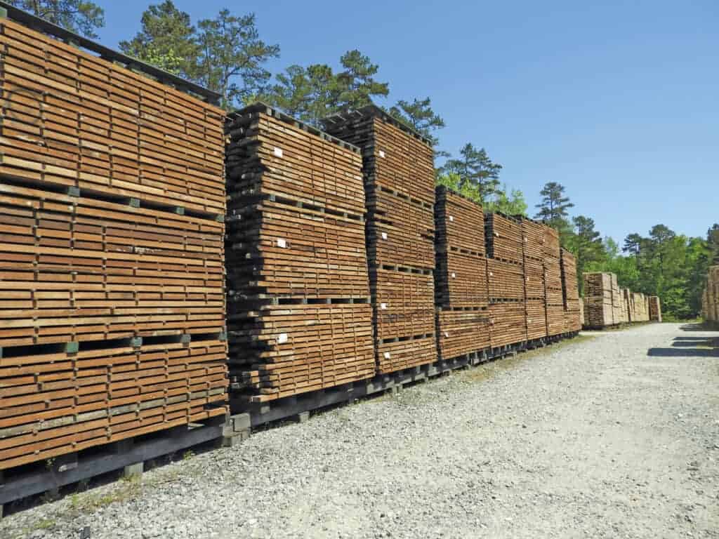 A Brewco 1600 resaw at Prime Lumber Sawmill, operated by a sawyer in the cab, cuts dimension lumber to the required specs.