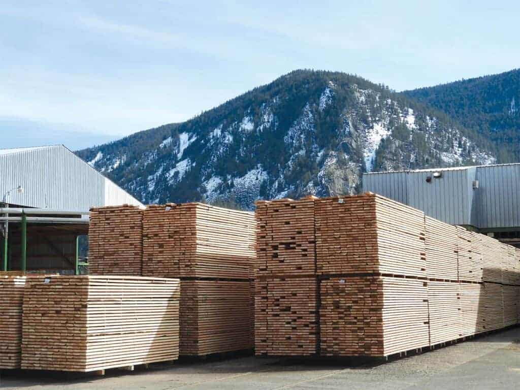 This Douglas Fir dimension has been prepped for kiln drying at Thompson River Lumber.