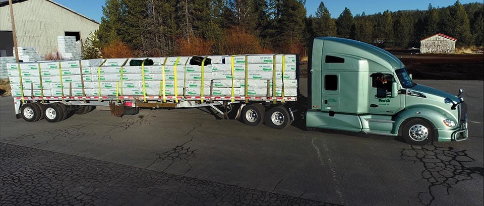 Half-packed and paper-wrapped Pine boards are shipped by truck and by rail.