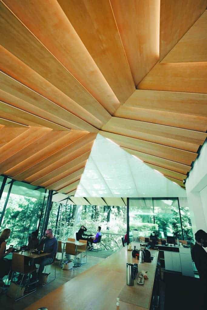 EBPA members trade various lumber species. Here, Port Orford Cedar, a U.S. softwood species, is shown as an example of how U.S. building materials can be applied in Japanese architecture.