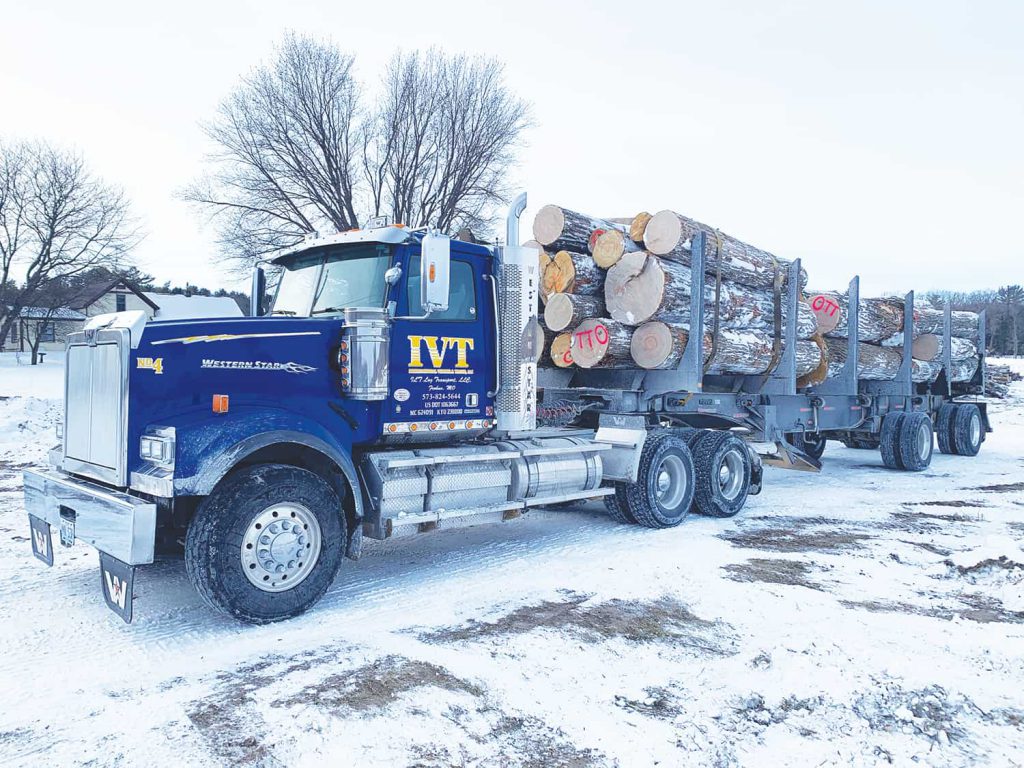 International Veneer & Timber truck heading to mill with a load of prime Chestnut logs.