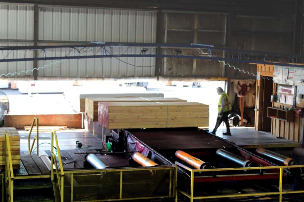 Large Doug Fir timbers are entering the remanufacturing plant to be further processed into multiple products.