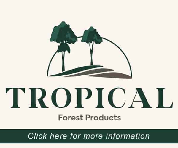 TROPICAL FOREST - BLOG 1