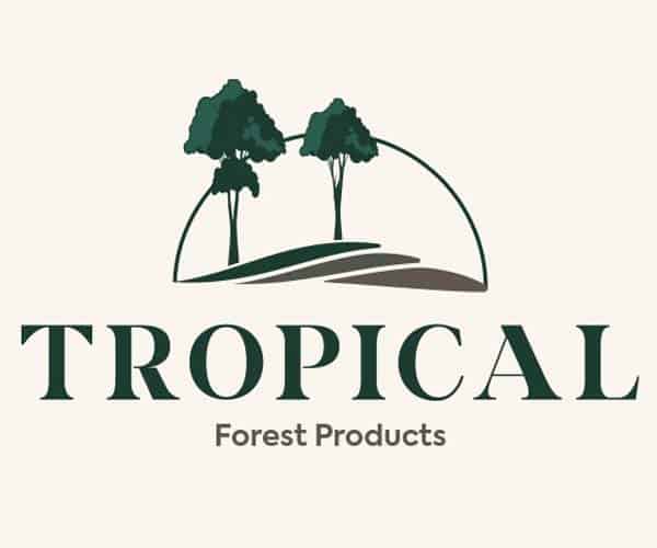 TROPICAL FOREST - BLOG 6
