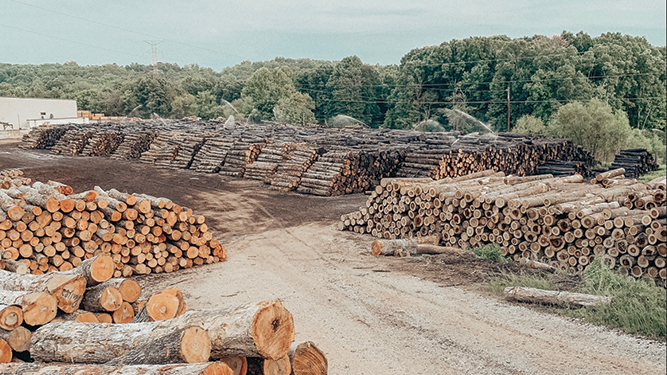 Characterized By Consistency, Clark Lumber Company Experiences Continued Growth 6