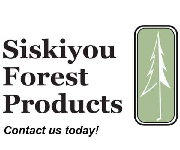SISKIYOU FOREST - BLOG 2