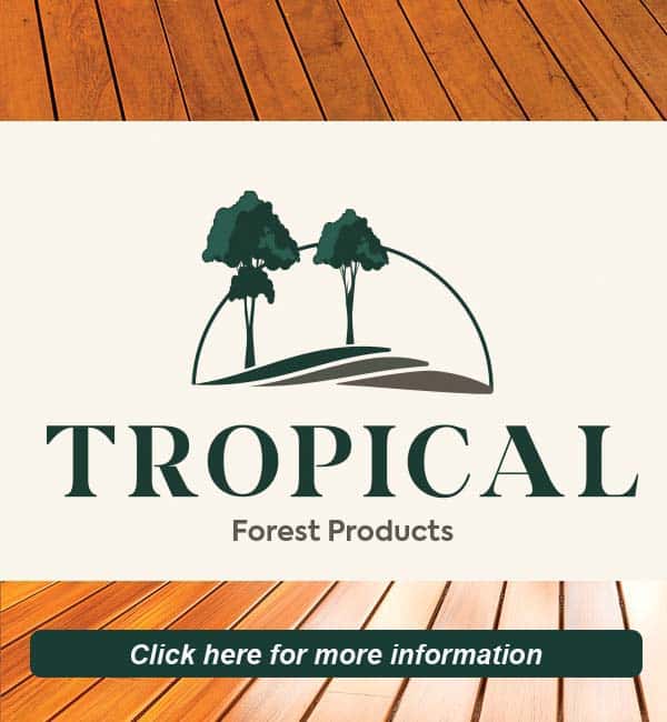 TROPICAL FOREST - PUB 1