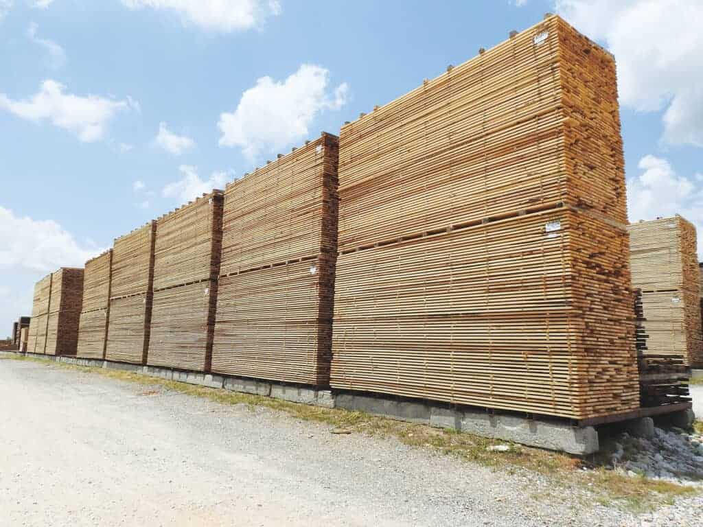 From Forest Floor To Finished Product At Thompson Appalachian Hardwoods 4