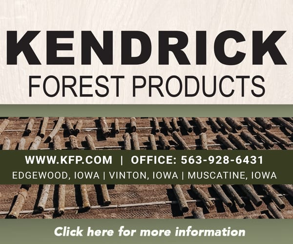 KENDRIK FOREST - BLOG 1