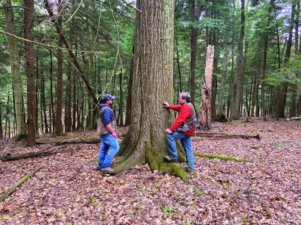 Pennsylvania Hardwoods Expands Operations 7