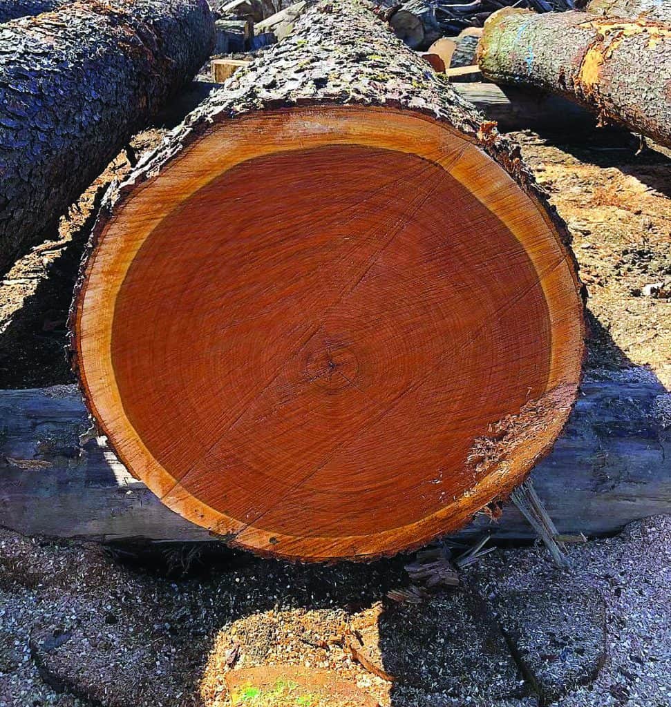 Pennsylvania Hardwoods Expands Operations 2