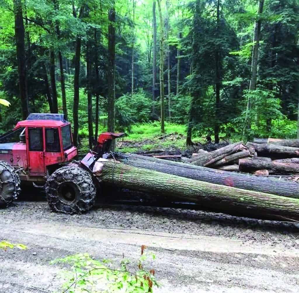 Pennsylvania Hardwoods Expands Operations 3