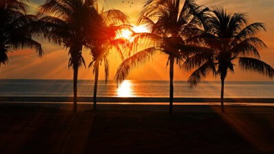 Read more about the article West Coast Business Trends – January 2023