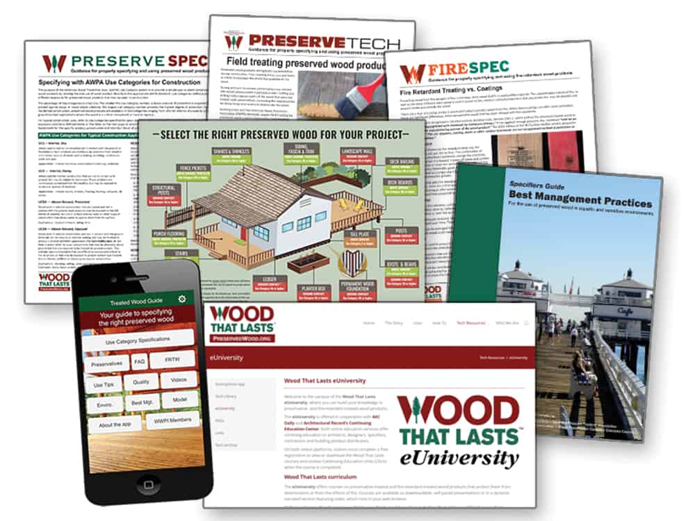 Increase Preserved Wood Sales With Sales Staff Training 1