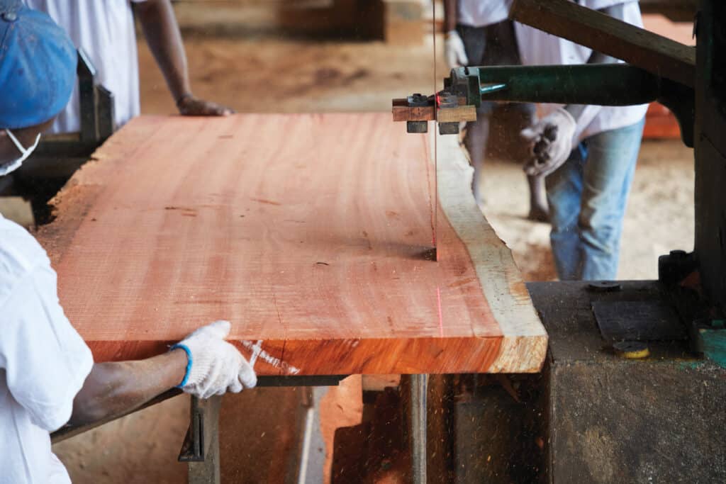 Gabon Sawmills Open Up US Sales Office 3
