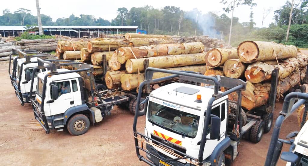 Gabon Sawmills Open Up US Sales Office 5