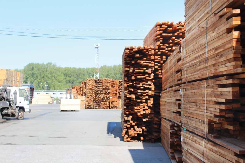 Family Owned Partap Forest Products Introduces Primary Sawmill 6