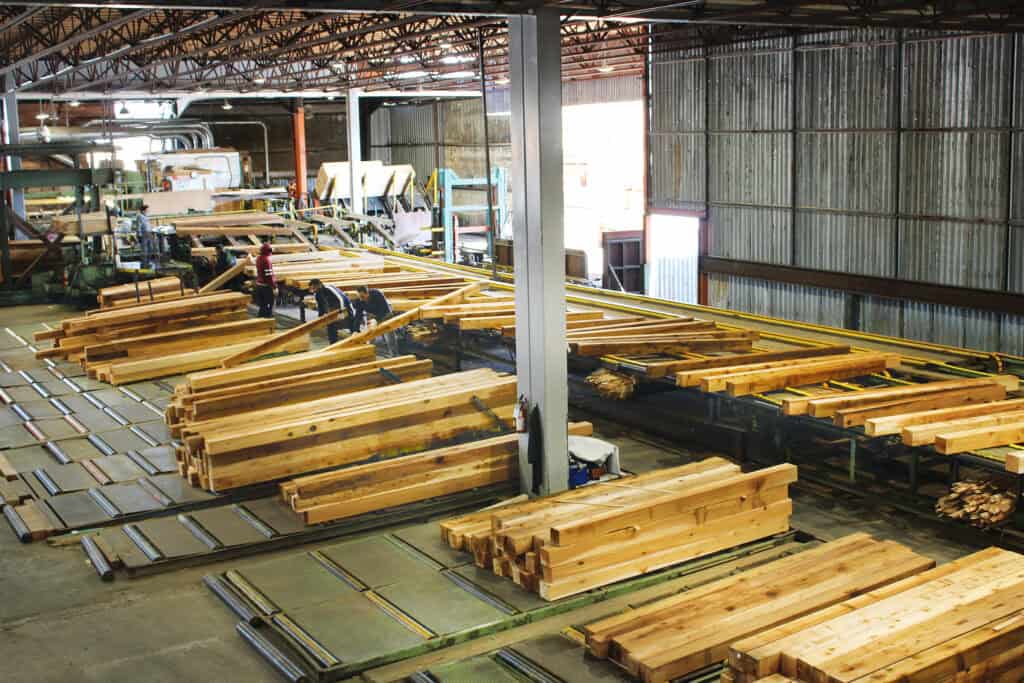 Family Owned Partap Forest Products Introduces Primary Sawmill 8