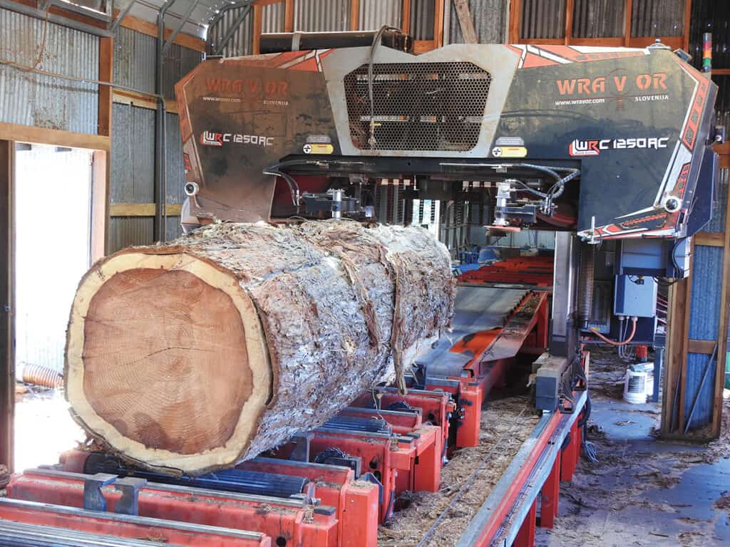 Bailey’s Offers A Complete Turnkey Sawmill For Less Than $1 Million 4