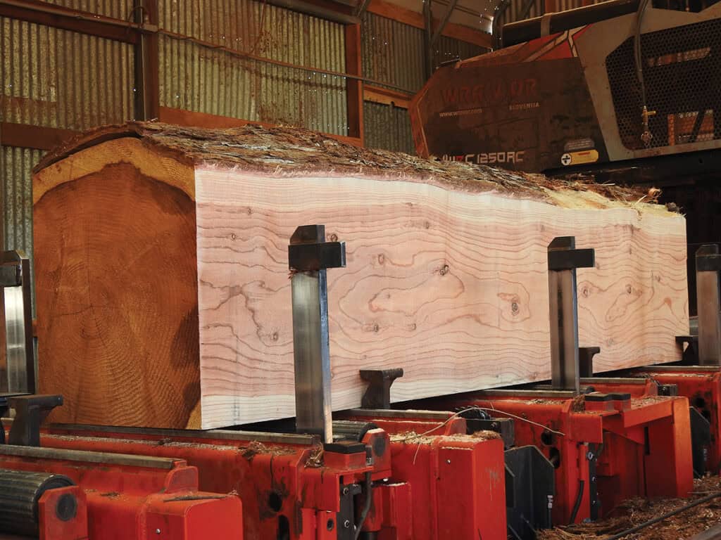 Bailey’s Offers A Complete Turnkey Sawmill For Less Than $1 Million 6