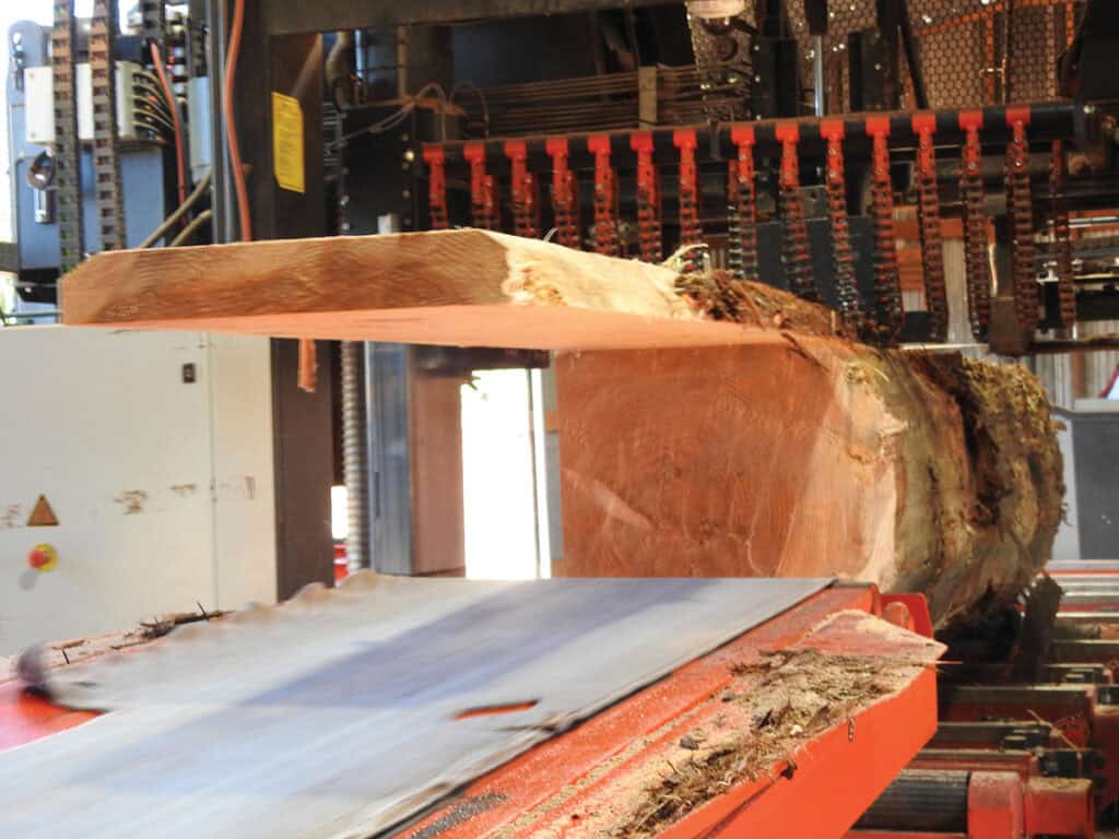 Bailey’s Offers A Complete Turnkey Sawmill For Less Than $1 Million 1