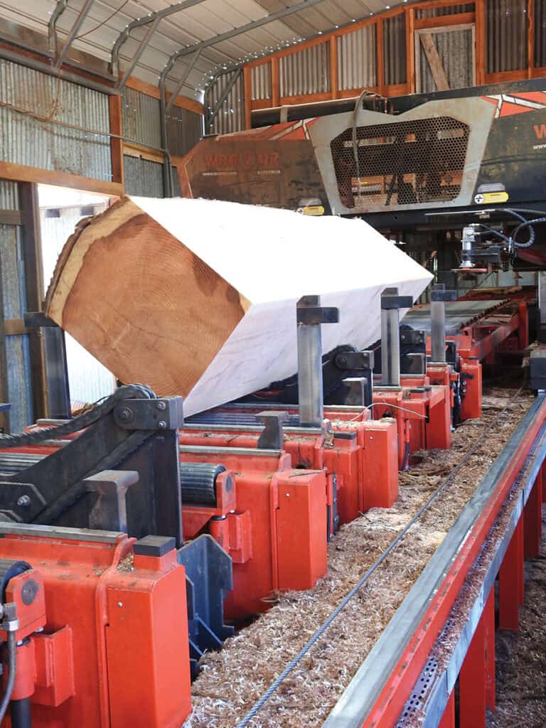 Bailey’s Offers A Complete Turnkey Sawmill For Less Than $1 Million 5