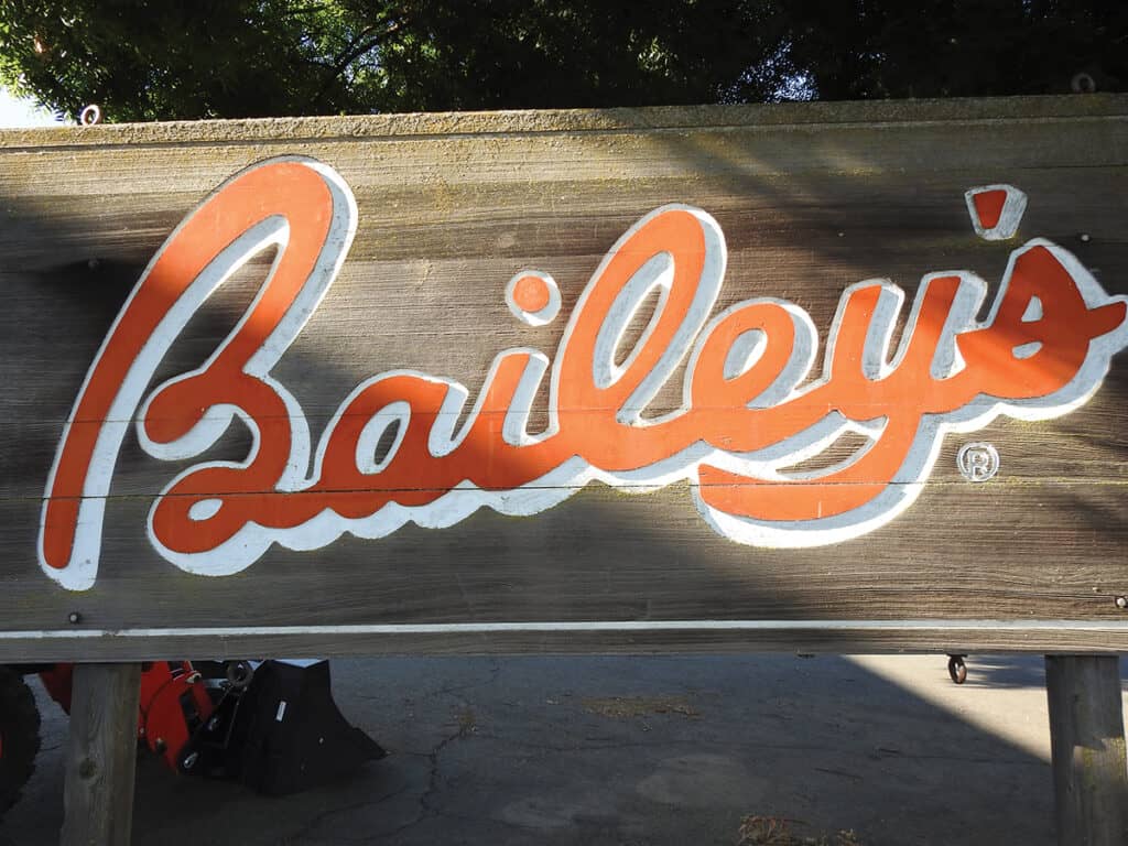 Bailey’s Offers A Complete Turnkey Sawmill For Less Than $1 Million 8