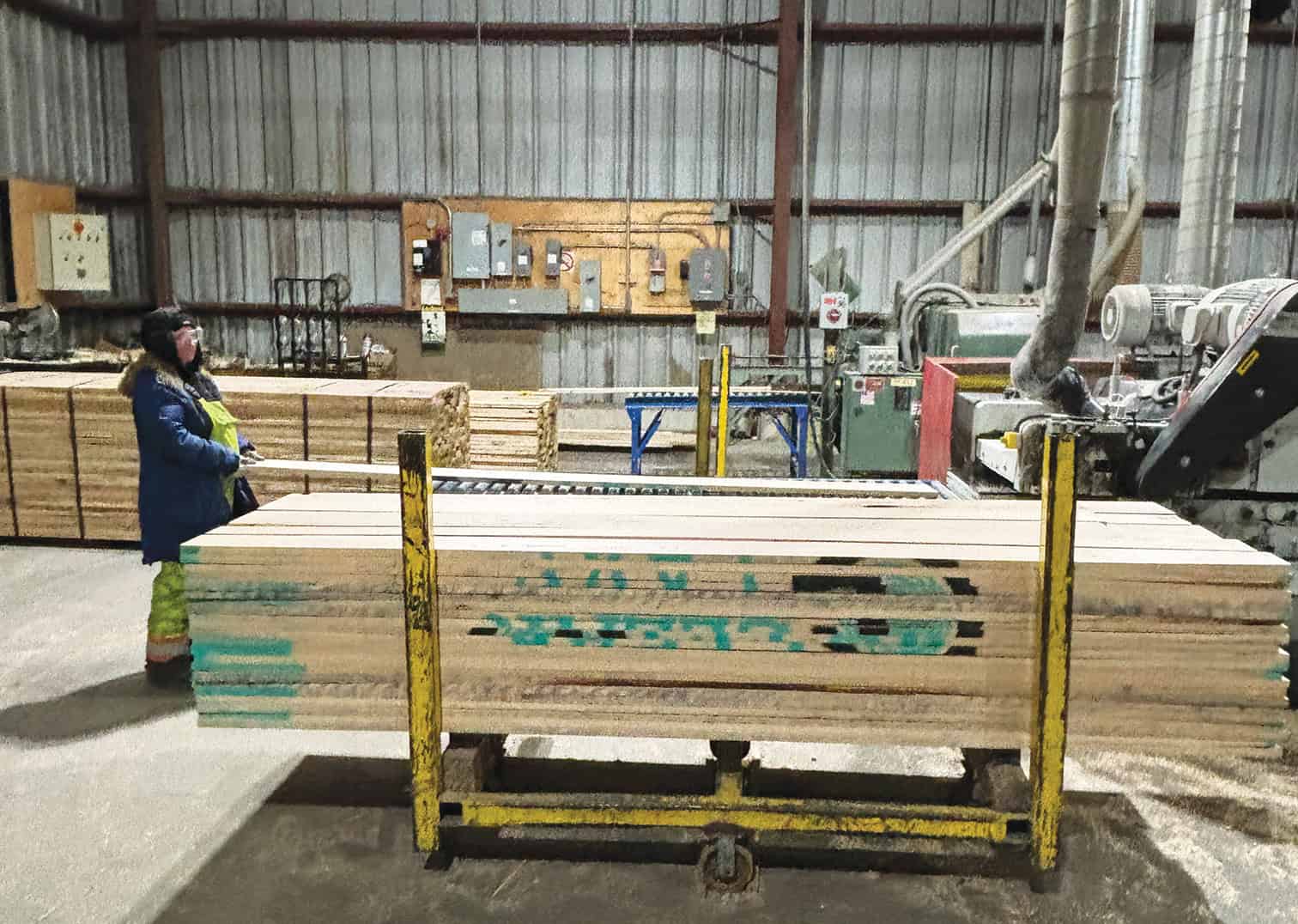 Olympic forest products