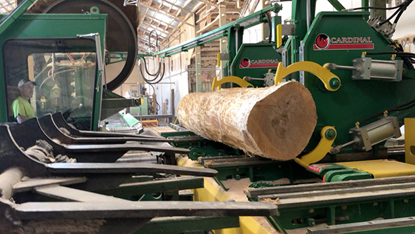 Cardinal Equipment, Implementing New Technologies To Help Sawmills Stay Efficient 3