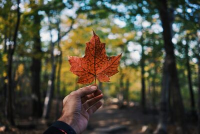 Ontario