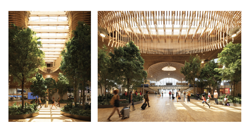 Softwood Export Council Releases New Lumber Grading, Wood In Architecture Videos 3 Softwood Export Council Releases New Lumber Grading, Wood In Architecture Videos 3
