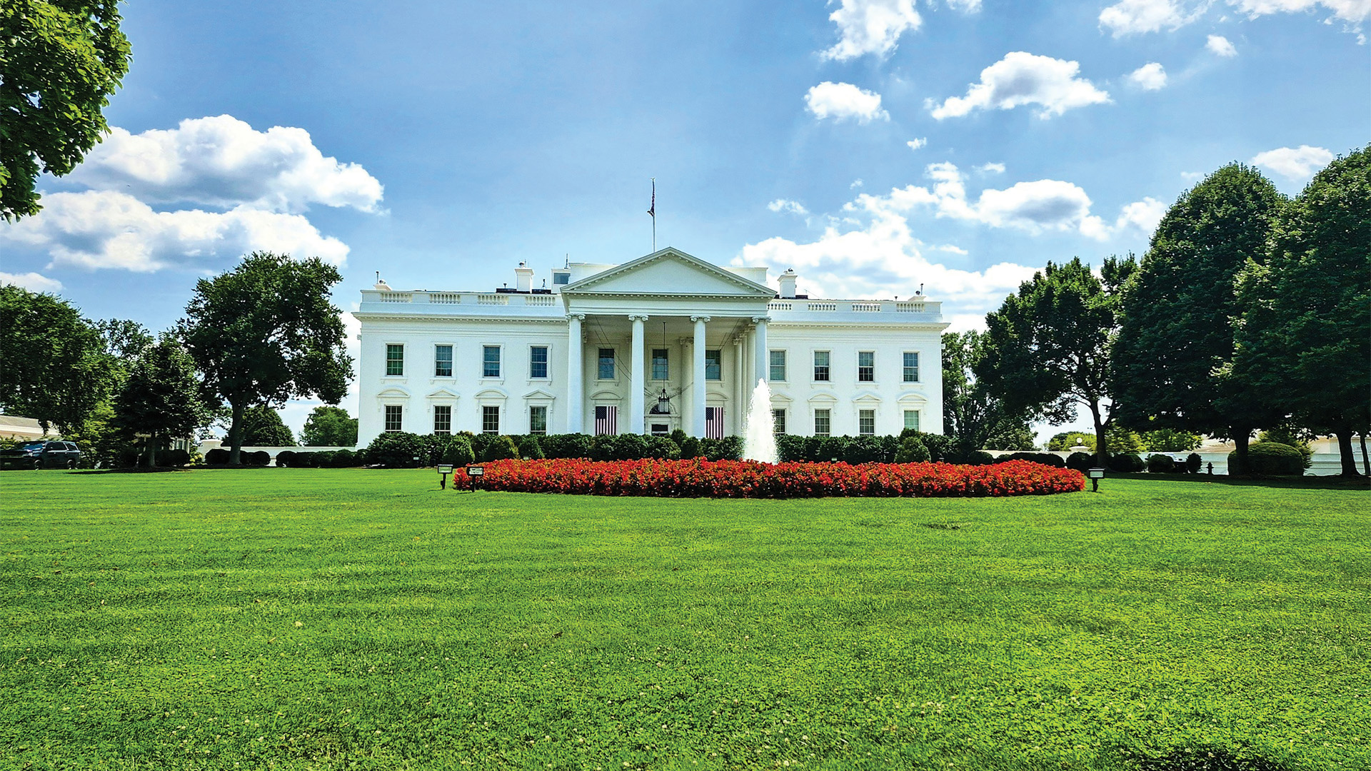 Read more about the article Washington Scene