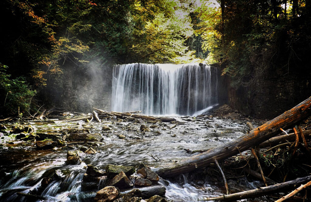Ontario Trends May 2025 - Sawmills In Ontario Focused On Hard And Soft Maple, Red Oak 1 Sawmills