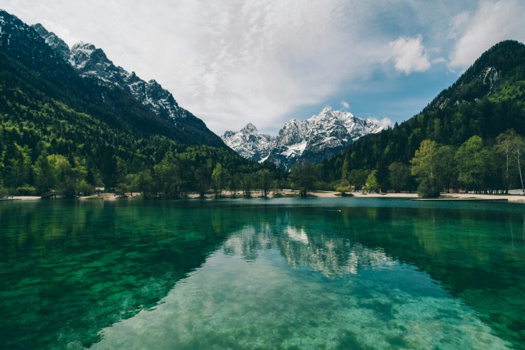Lake States Trends May 2025 - Prices On Lumber In The Lake States Region Start To Inch Up 1 Lake States Trends May 2025 - Prices On Lumber In The Lake States Region Start To Inch Up