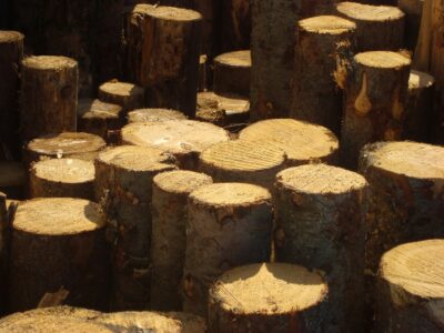 walnutassociation.org