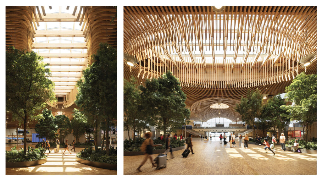 Softwood Export Council Releases New Lumber Grading, Wood In Architecture Videos 3 Softwood Export Council Releases New Lumber Grading, Wood In Architecture Videos 3