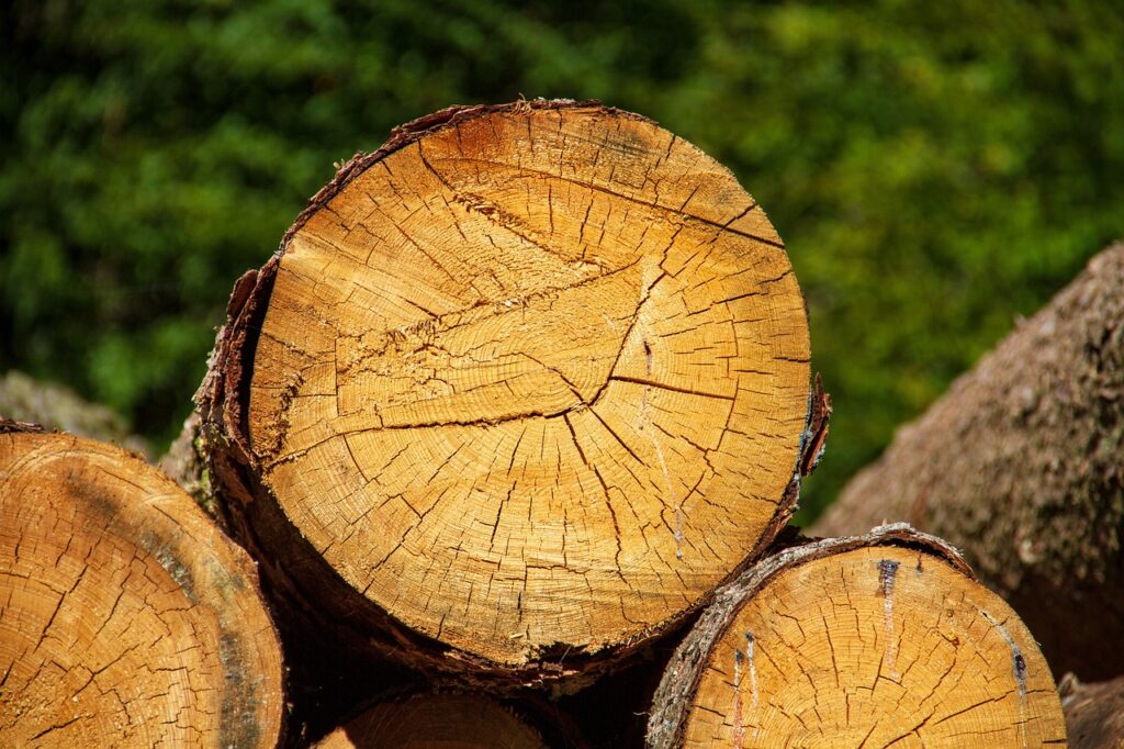 Department Of Agriculture Seeks To Increase Timber Production By Designating An Emergency Situation On National Forest System Lands 3 Agriculture