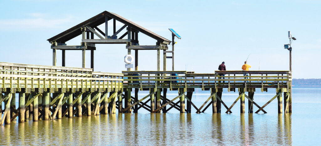 Marine-Grade Lumber: Creating Resiliency In Waterfront Construction 4 Marine-Grade Lumber: Creating Resiliency In Waterfront Construction 4