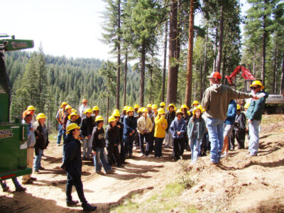 Forest Literacy