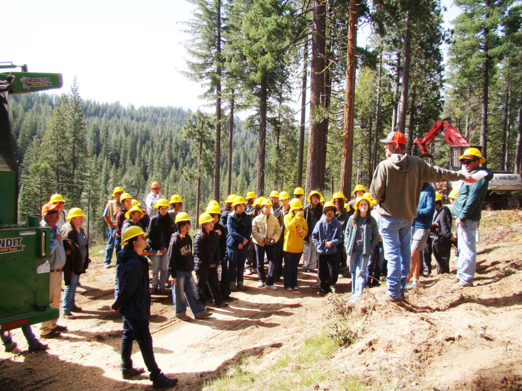 Back To School: Reading, Writing And Forest Literacy 3