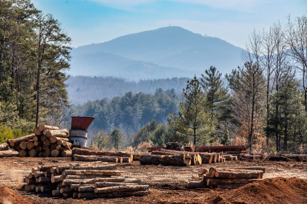 Church & Church: Sawing High Quality Appalachian Lumber For Nearly A Century 3 Church & Church: Sawing High Quality Appalachian Lumber For Nearly A Century 3