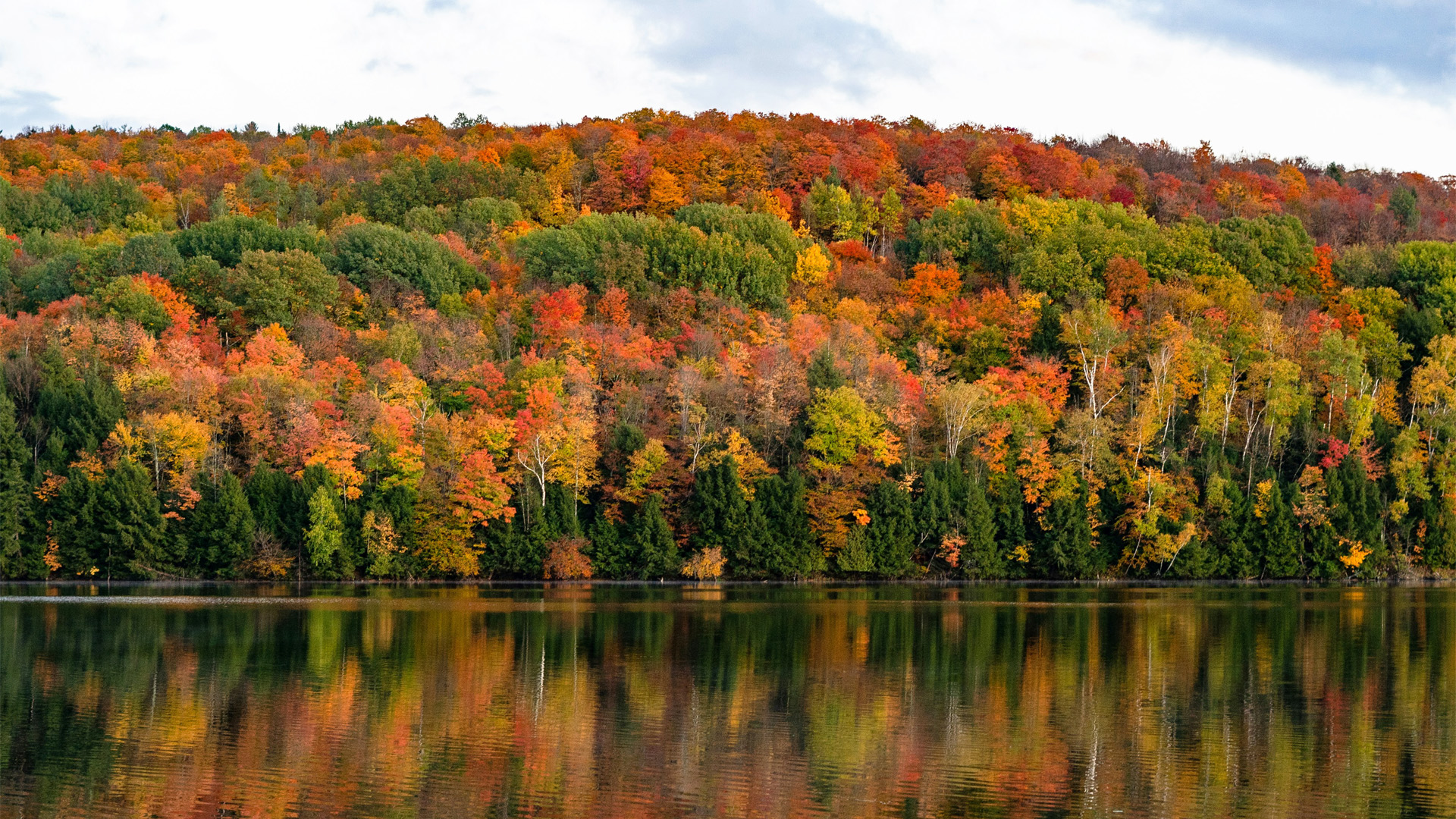 Read more about the article Northeast Business Trends