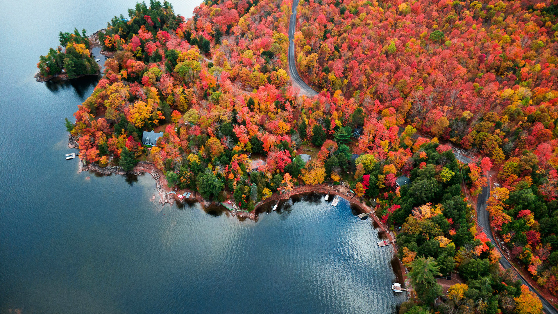 Read more about the article Ontario/Quebec Business Trends