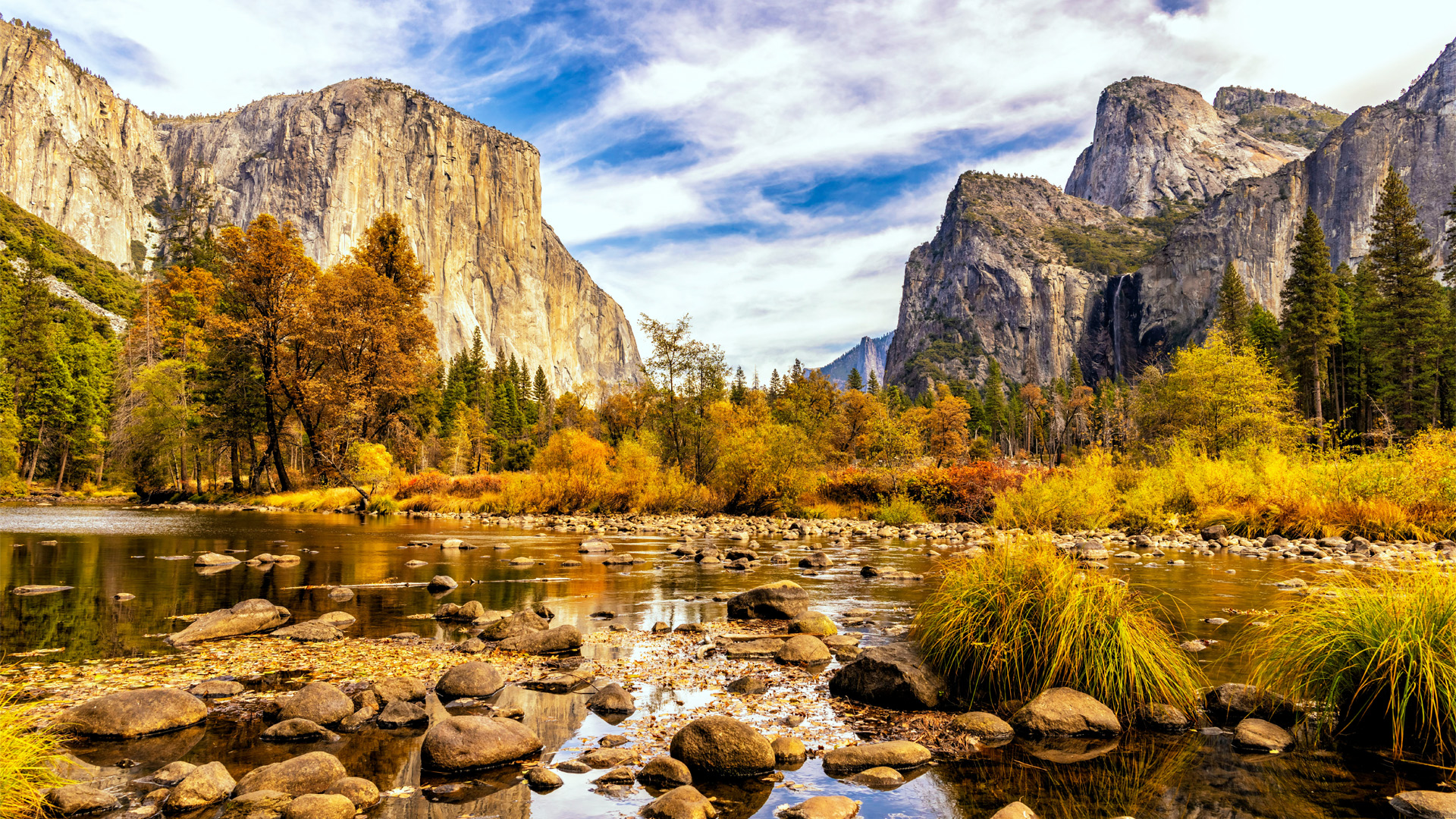 Read more about the article West Coast Business Trends