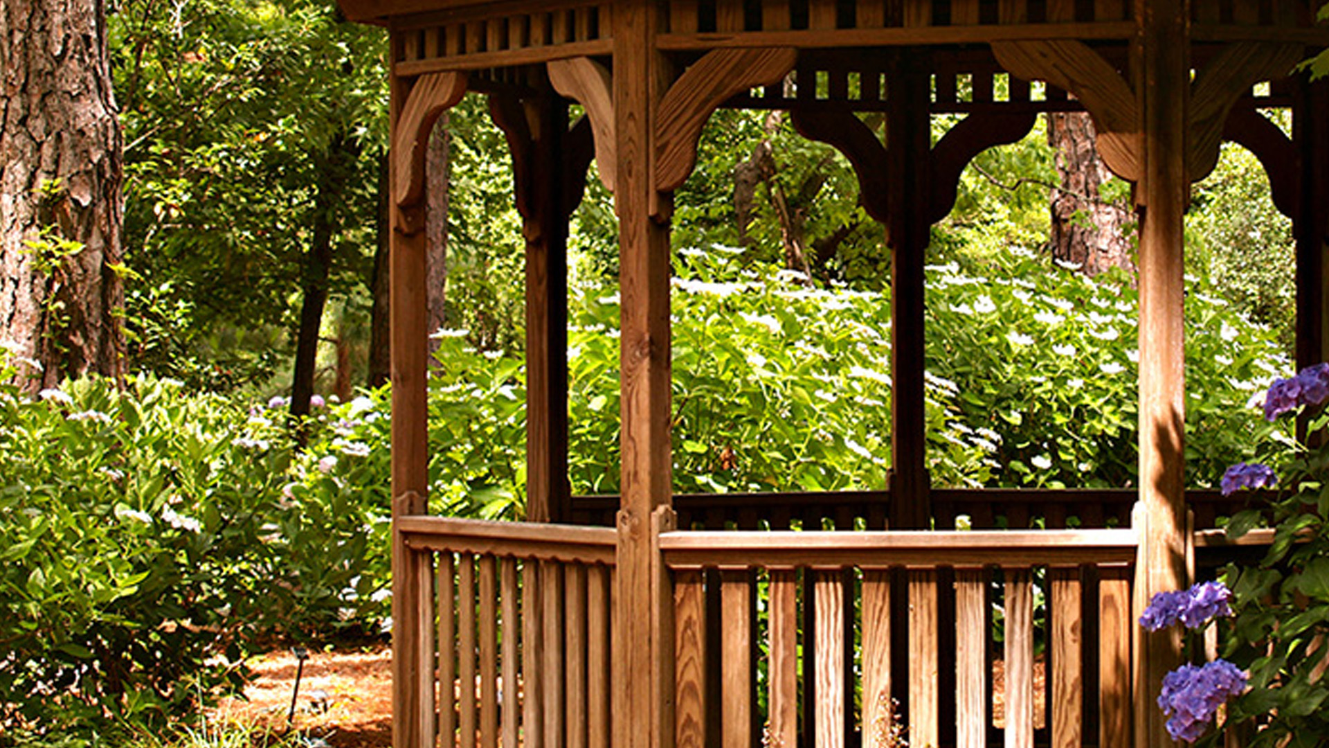 Read more about the article The Science Behind Pressure-Treated Wood