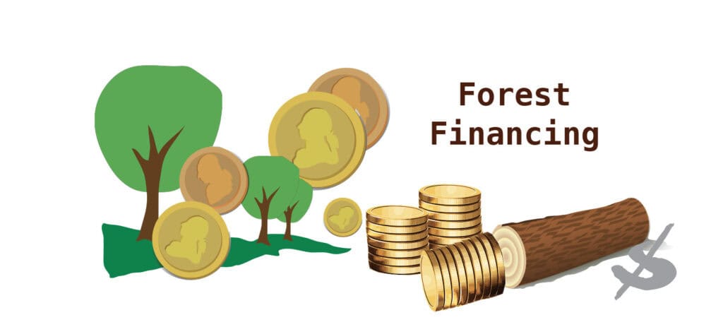 Building A Lasting Partnership: How Lender Relationships Drive Success In Forest Financing 2