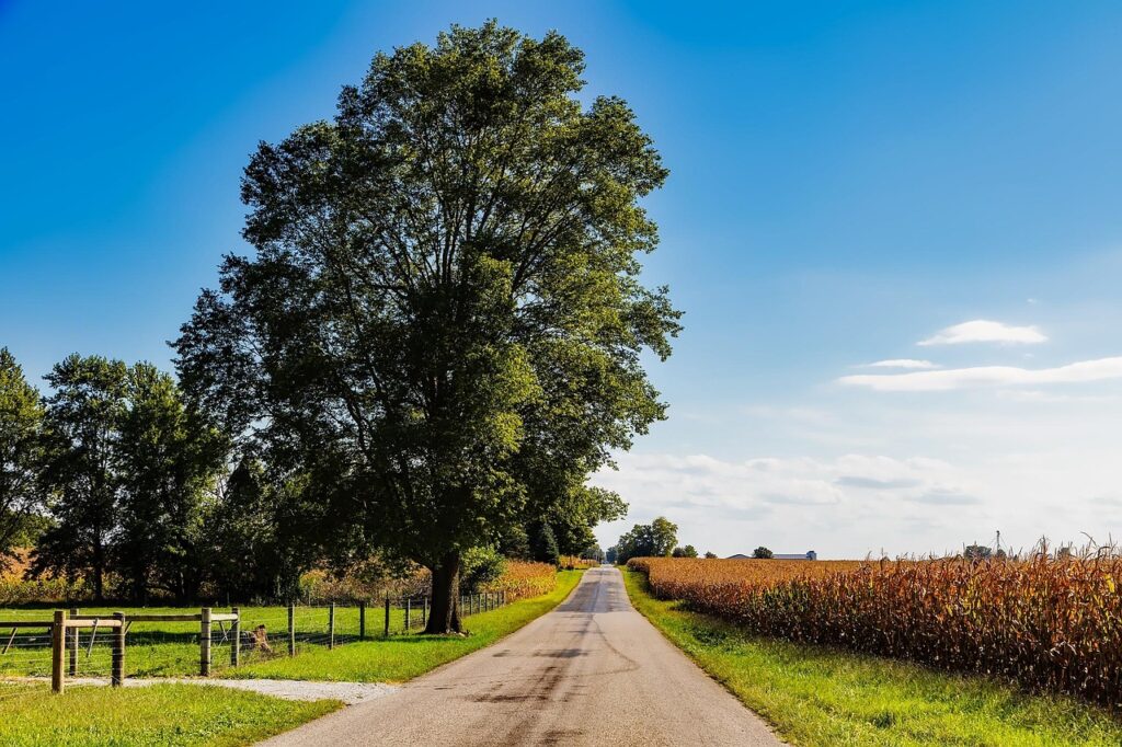 “American Hardwood Assured” Deforestation-Free Platform Launches 2 “American Hardwood Assured” Deforestation-Free Platform Launches 2