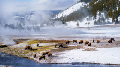 Industry News 25 Industry News 9