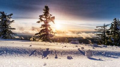 Industry News 29 Industry News 11